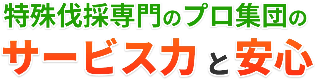 特殊伐採専門のプロ集団のサービス力と安心